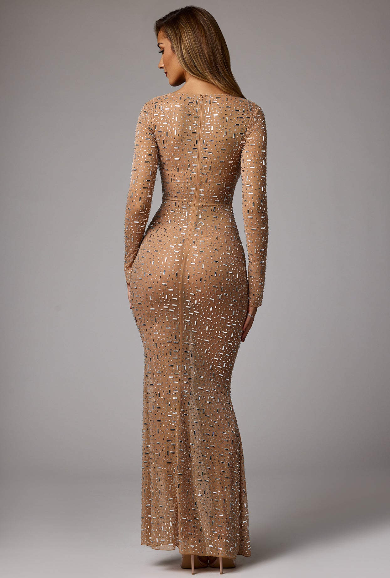 Isabeau Sheer Embellished Long Sleeve Evening Gown in Almond Oh